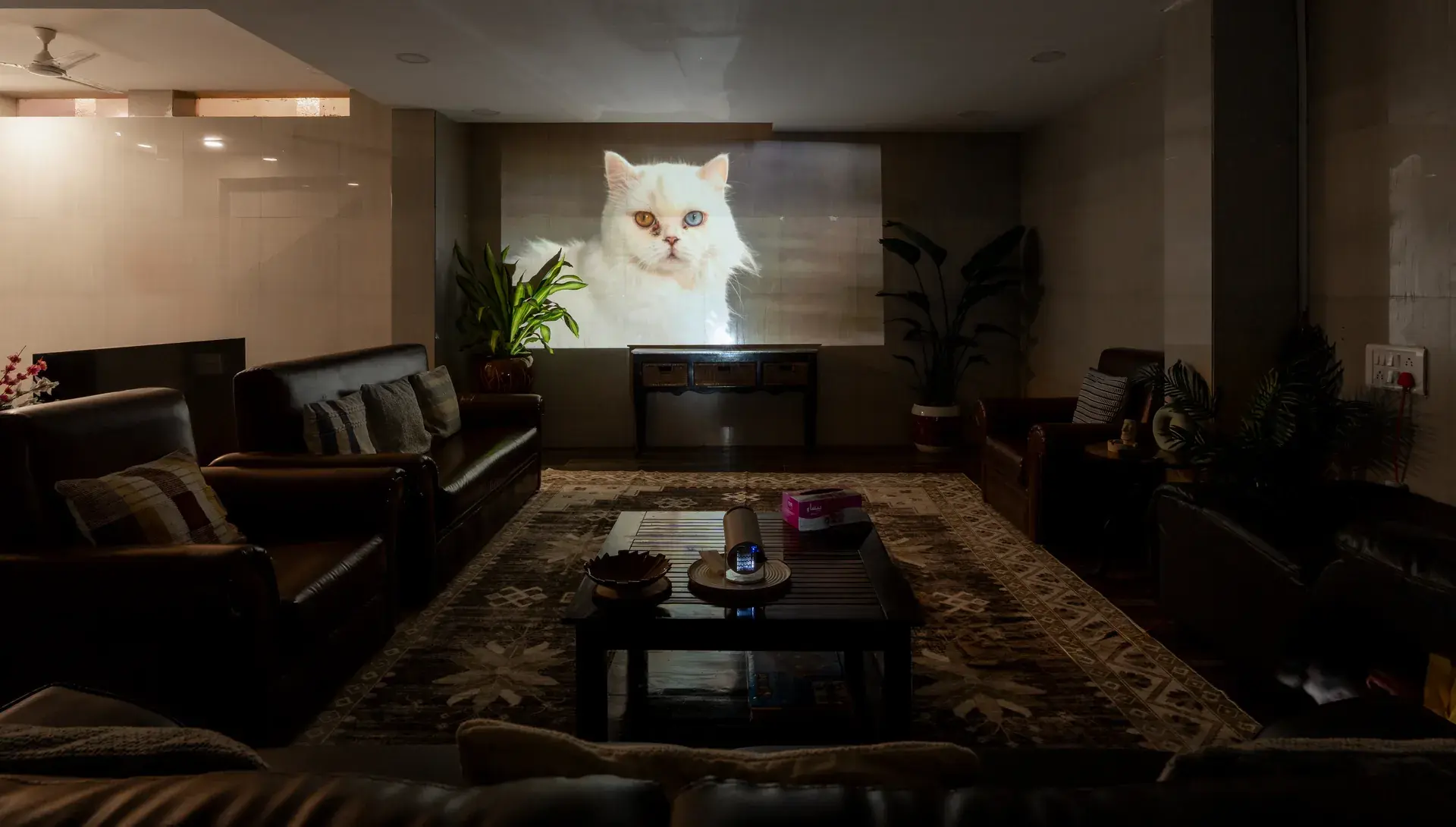 Hilltop Hideaway — Thane with big projector screen
